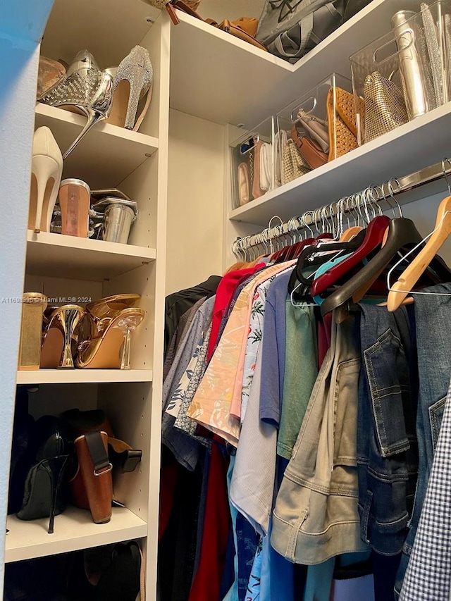 view of spacious closet