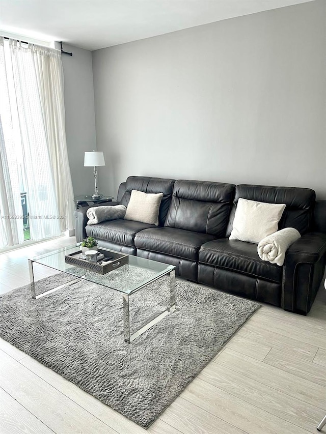 living room with wood-type flooring