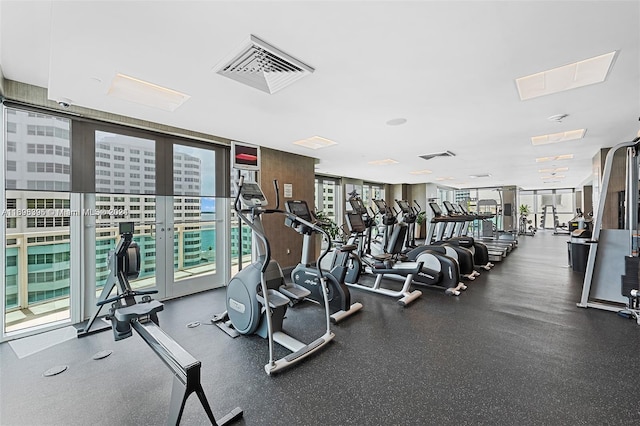 workout area with a healthy amount of sunlight and a wall of windows