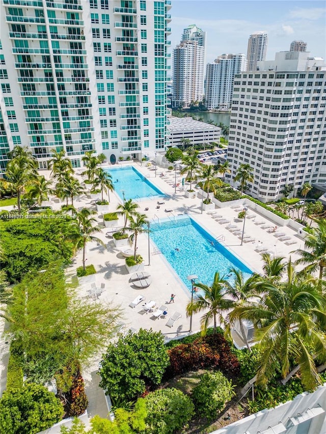 view of swimming pool with a patio area