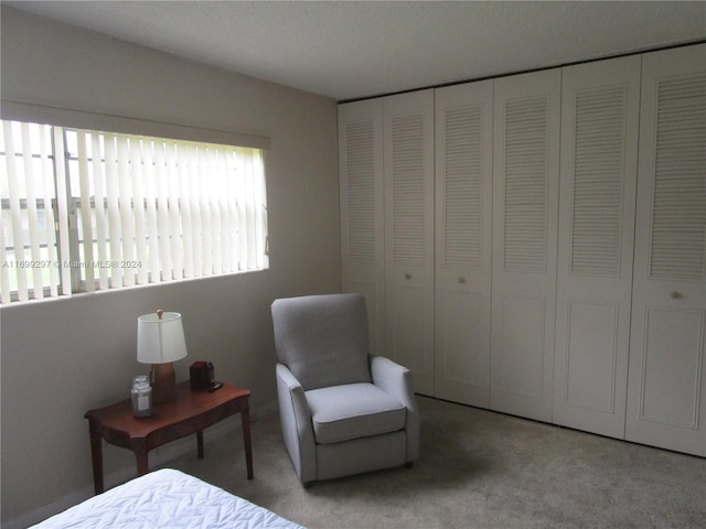 carpeted bedroom with a closet