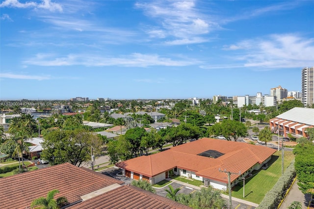 bird's eye view