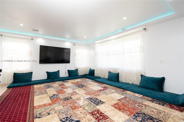 bedroom featuring a raised ceiling