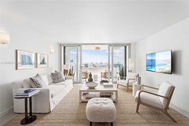 carpeted living room with expansive windows