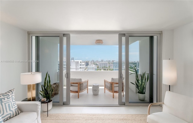 doorway with a wealth of natural light