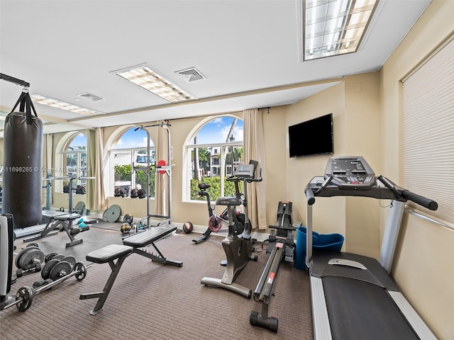 workout area featuring plenty of natural light