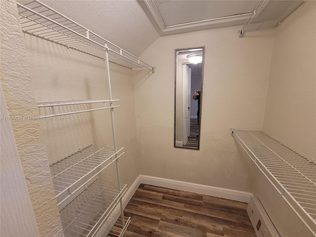 walk in closet featuring dark hardwood / wood-style floors