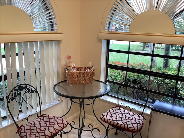 dining area with a wealth of natural light