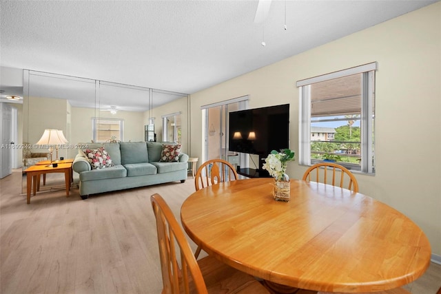 dining area featuring a textured ceiling, light wood-type flooring, and ceiling fan