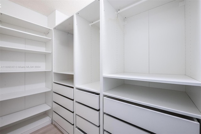 walk in closet with light wood-type flooring