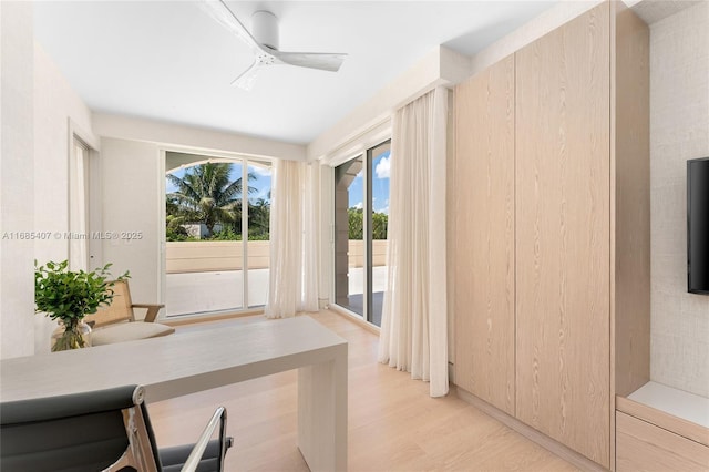 office featuring ceiling fan and light hardwood / wood-style floors