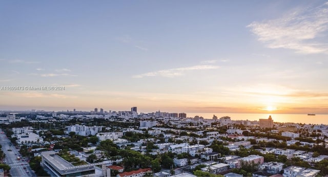 view of aerial view at dusk