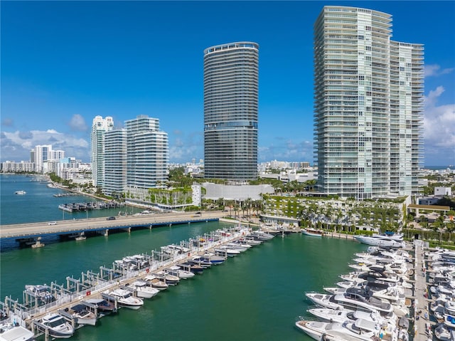 water view featuring a boat dock