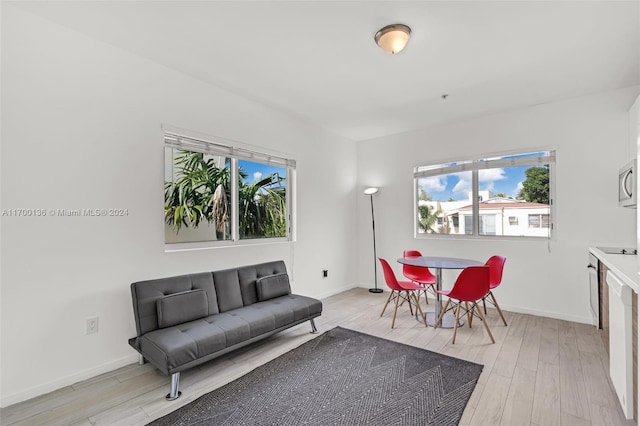 living room featuring light hardwood / wood-style floors