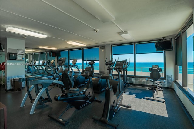 exercise room with plenty of natural light