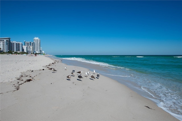 property view of water featuring a view of the beach