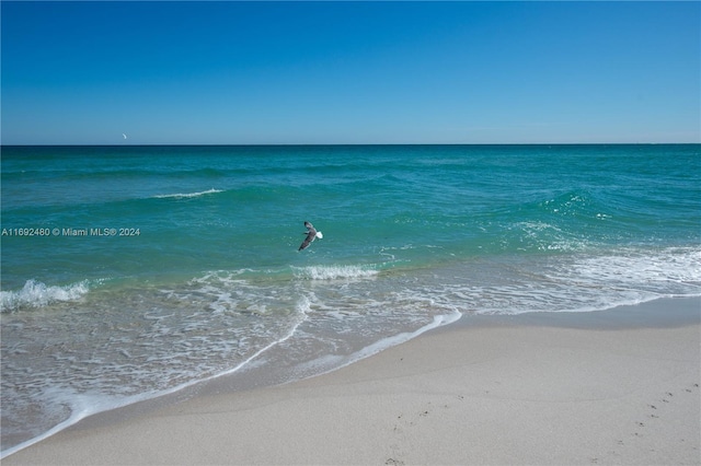 property view of water featuring a beach view