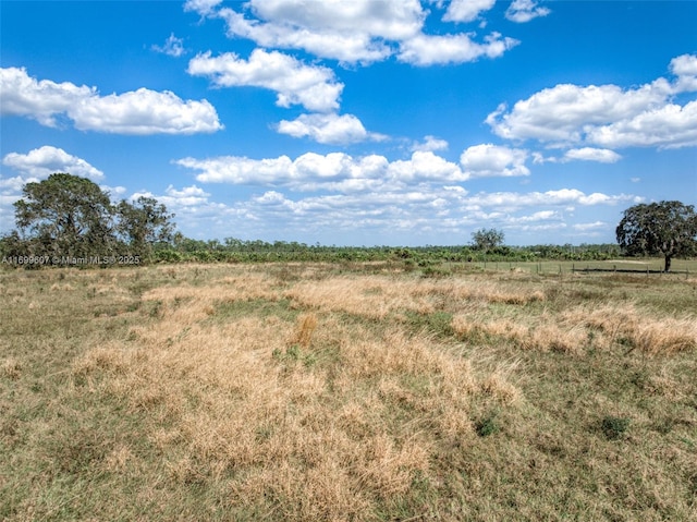 view of local wilderness featuring a rural view