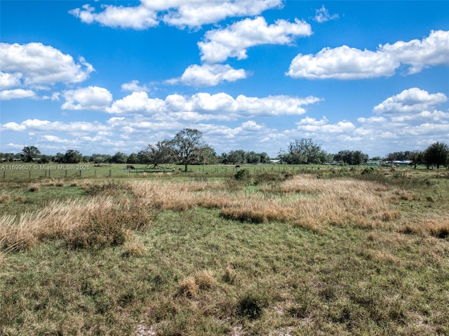 view of local wilderness featuring a rural view