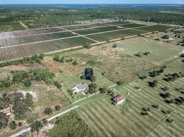 drone / aerial view with a rural view