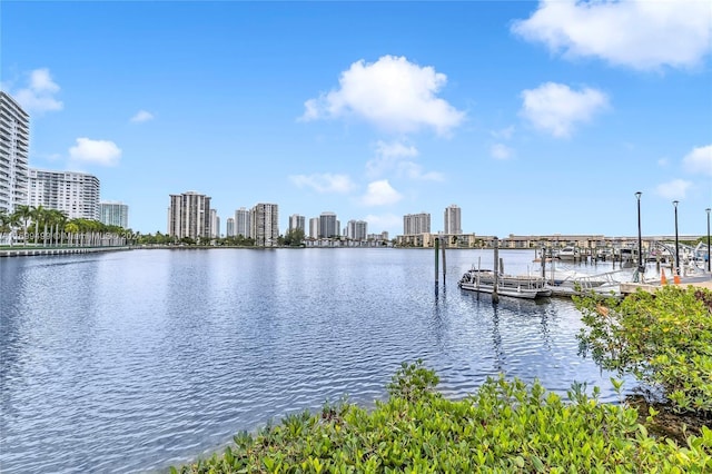 water view with a dock