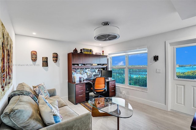 living room with light hardwood / wood-style floors