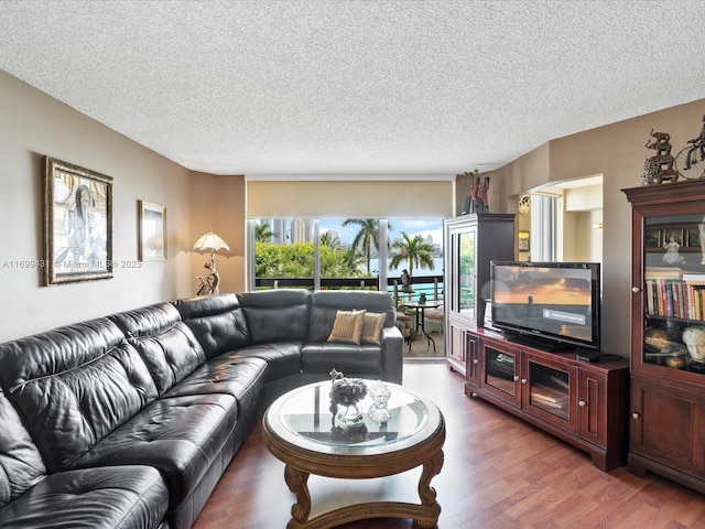 living room with a textured ceiling and dark hardwood / wood-style flooring