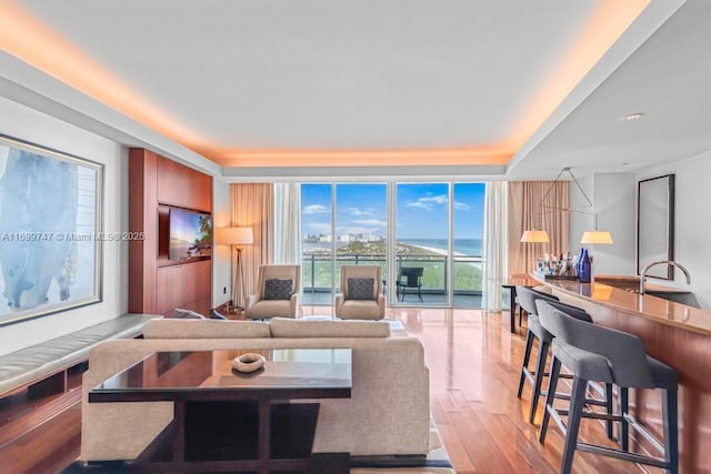 living room featuring light hardwood / wood-style floors, a wall of windows, and sink