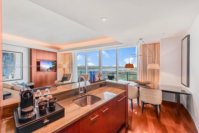 kitchen with hardwood / wood-style floors and sink