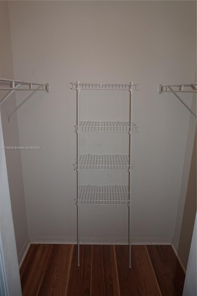 walk in closet featuring dark hardwood / wood-style floors