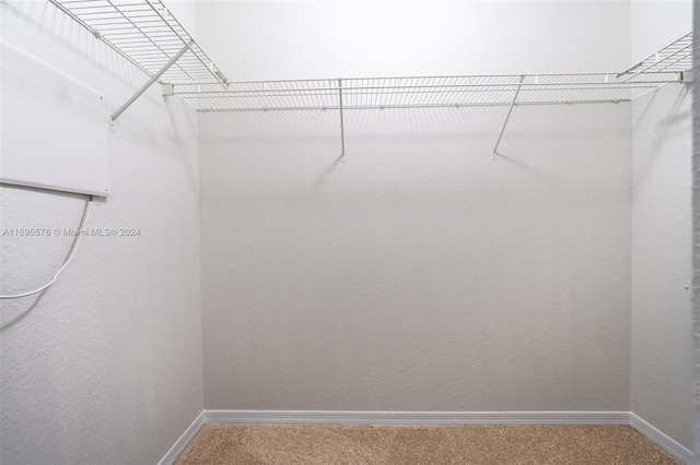 spacious closet with carpet floors