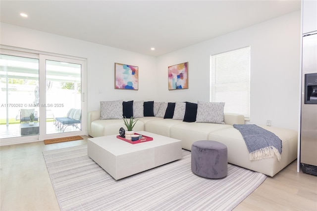 living room featuring light wood-type flooring