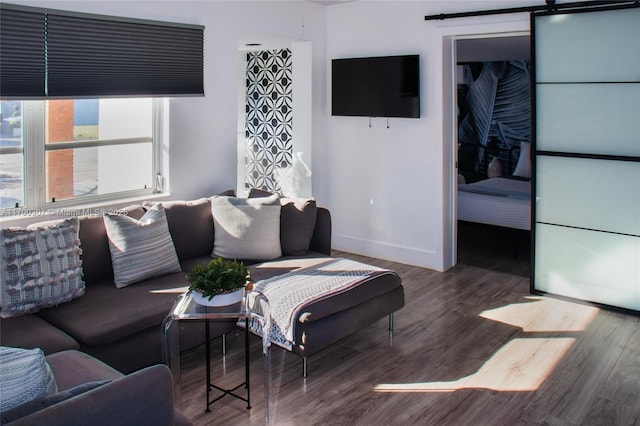 living room with a barn door and wood-type flooring