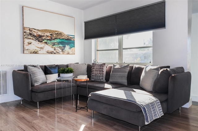 living room featuring wood-type flooring