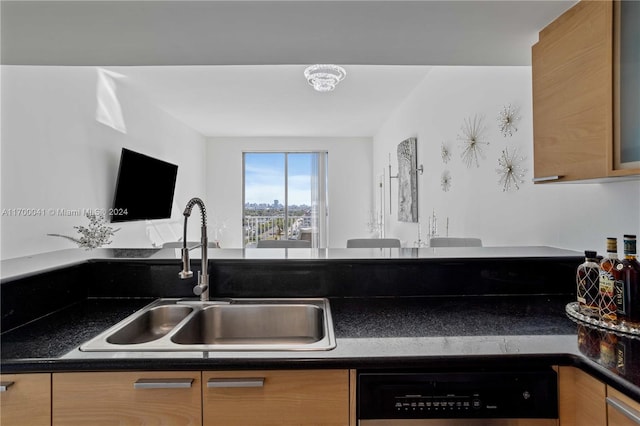 kitchen with dishwasher and sink