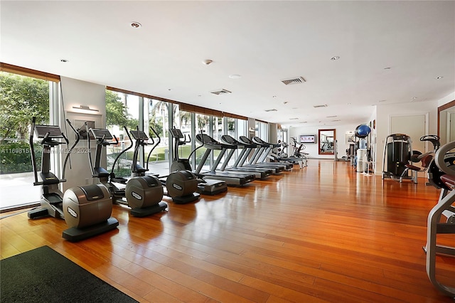 exercise room featuring light hardwood / wood-style floors and floor to ceiling windows