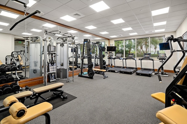 exercise room featuring carpet flooring and a drop ceiling