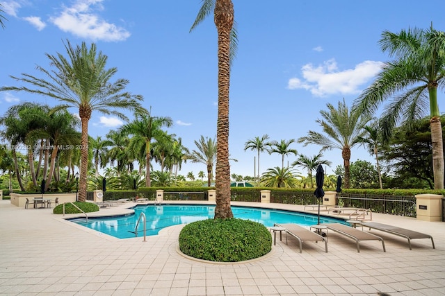 view of swimming pool with a patio