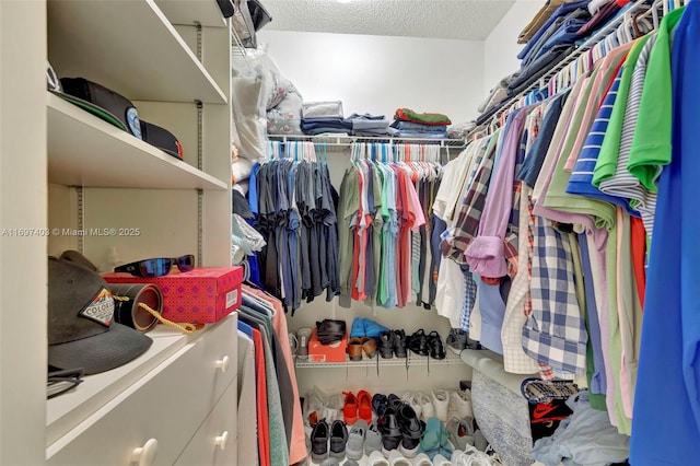 699 NW 134th Pl, Miami, FL 33182 - view of spacious closet