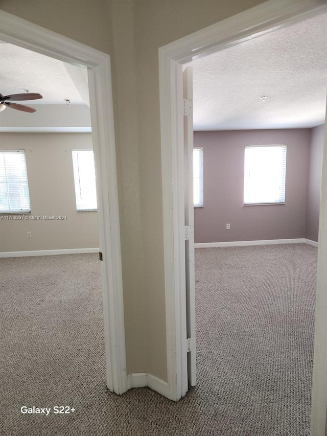 hallway featuring carpet, a textured ceiling, and a wealth of natural light