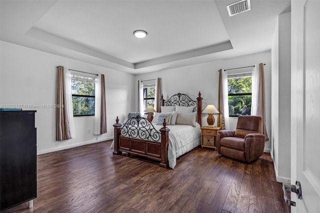 bedroom featuring a tray ceiling, multiple windows, and dark hardwood / wood-style floors