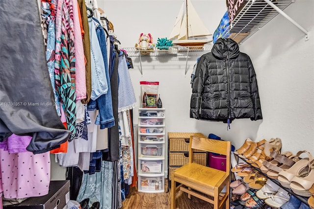 spacious closet with wood-type flooring