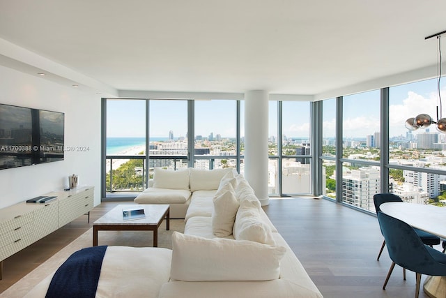 living room featuring hardwood / wood-style floors, a healthy amount of sunlight, and a wall of windows