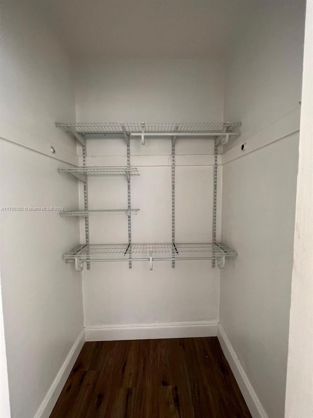 walk in closet featuring dark hardwood / wood-style floors