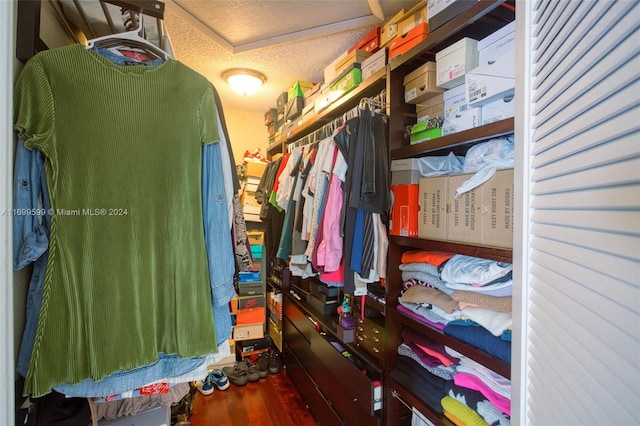 spacious closet with wood-type flooring