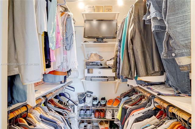 view of spacious closet