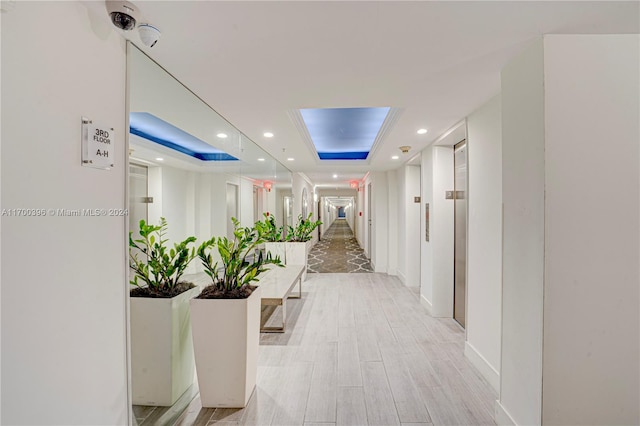 hallway with a raised ceiling and light hardwood / wood-style flooring