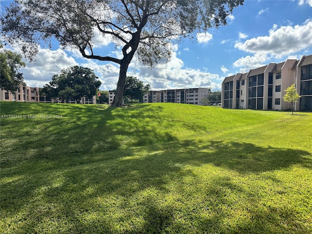 view of yard