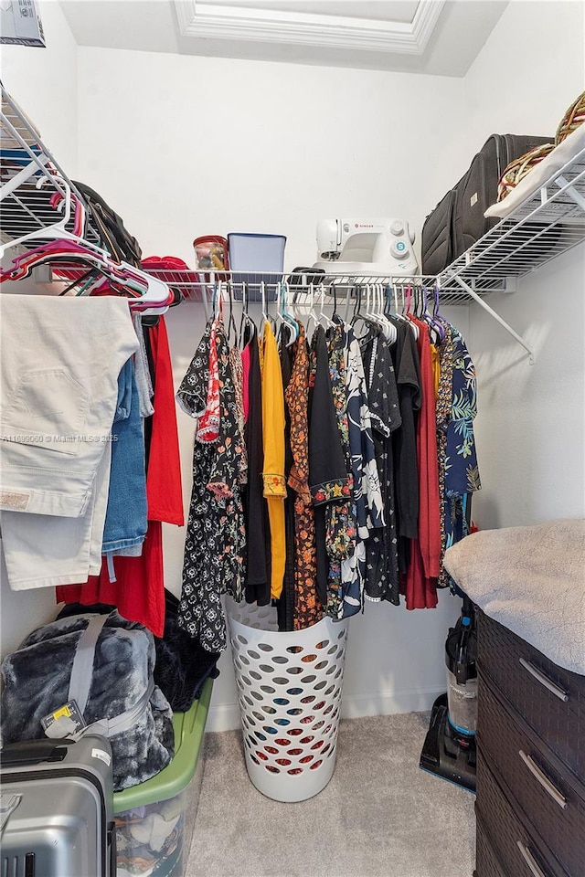 spacious closet with carpet floors