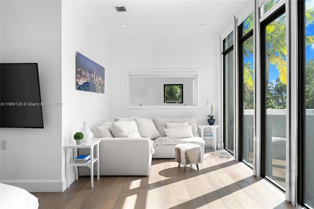 living room with wood-type flooring and a healthy amount of sunlight